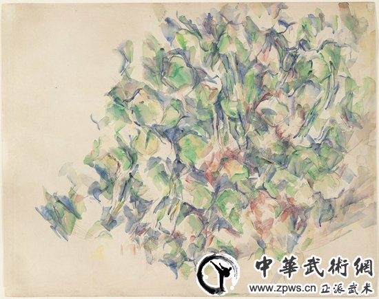 塞尚，《植物》，1895年